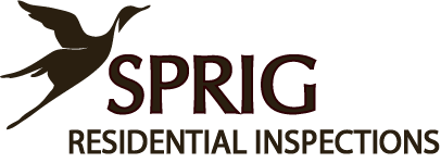 Sprig Inspections